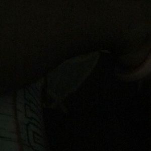 Meet your Posher, Carla